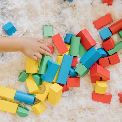100-Piece Wood Blocks Set N3