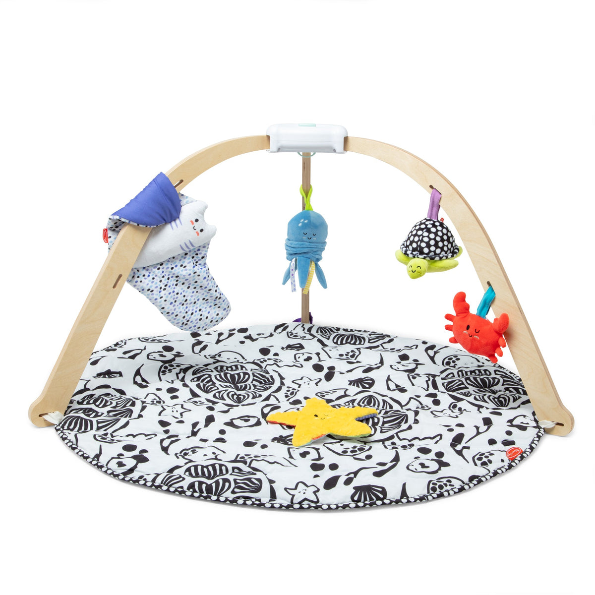 Ocean Easy-Fold Play Gym H8