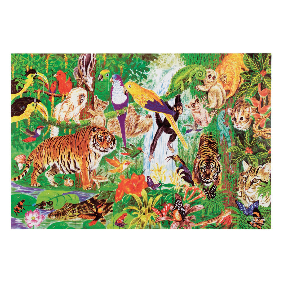 Rainforest Floor Puzzle - 48 Pieces F3