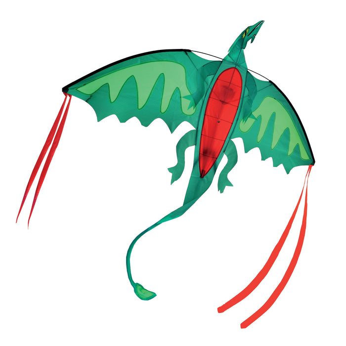 Winged Dragon Shaped Kite H4